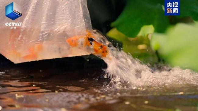 很多年，很多东谈主，很多事！因为故宫·《百年看管》